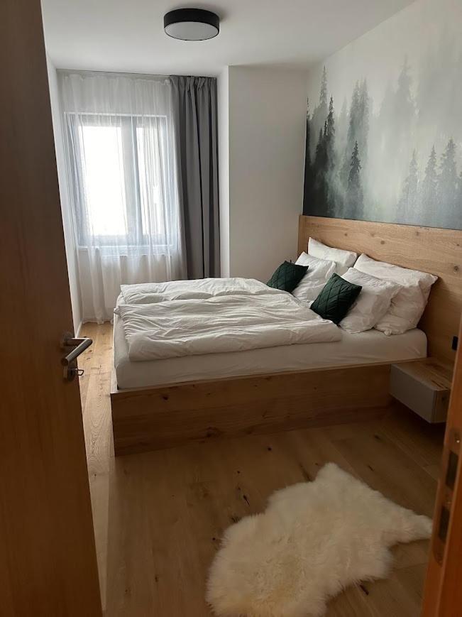 Apartment Apartman Janske Lazne